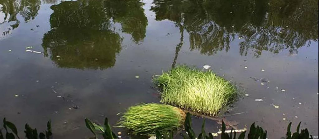 سیانزەبەدەری ساڵی ١٤٠٢ی هەتاوی؛ حەوتەمین مانگی ناڕزایەتیەکان